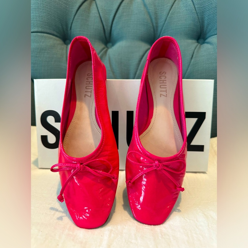 Ballet Flats in Pink from Schutz